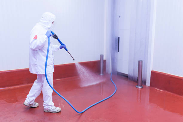 Best Patio and Deck Pressure Washing  in Sparkill, NY